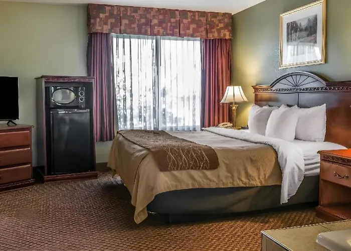 Quality Inn & Suites Ann Arbor Hwy 23